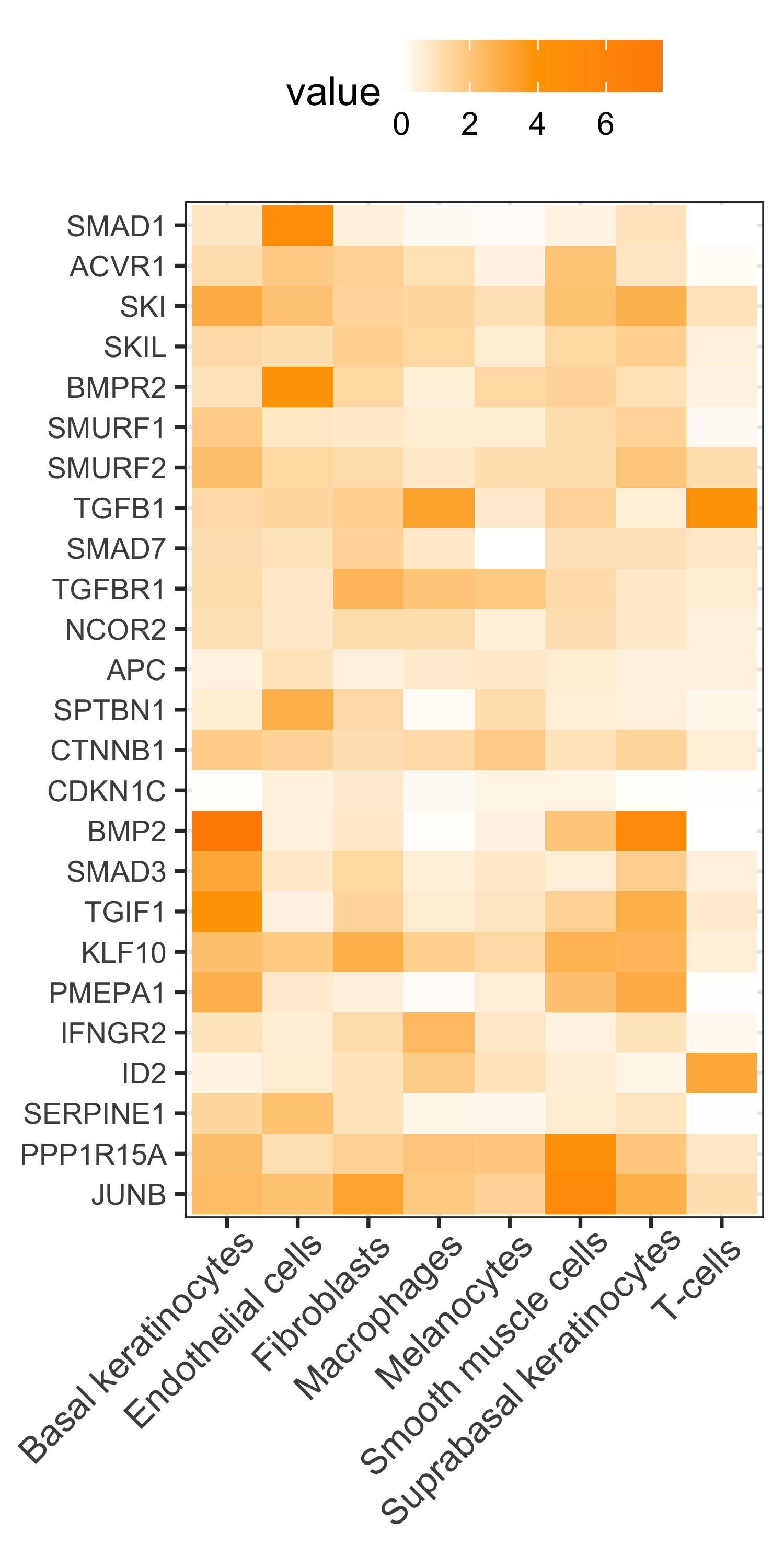 TGF-beta gene weights